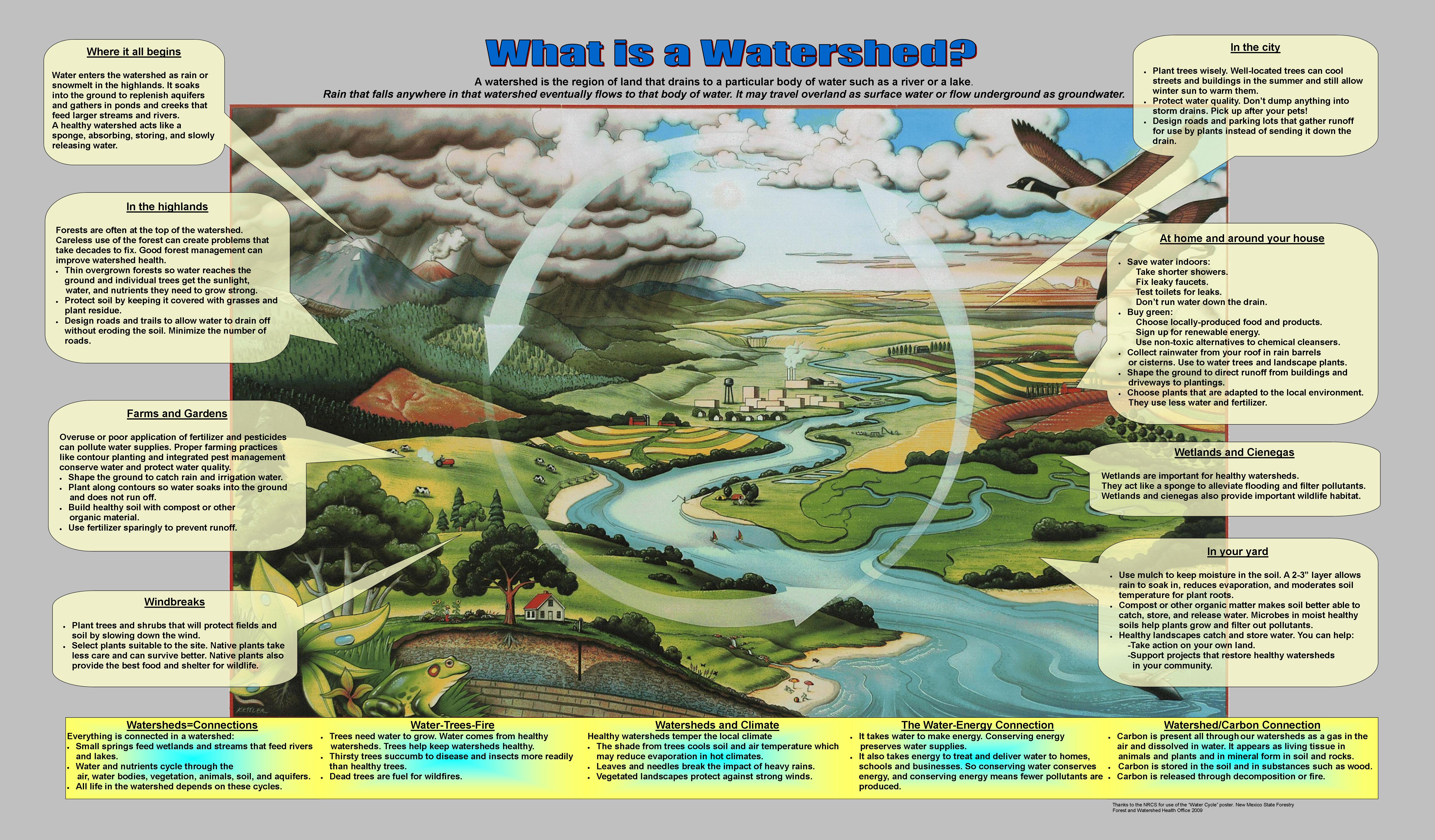 Poster What Is A Watershed 