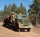 Biomass Removal from Restoration Biomass Removal