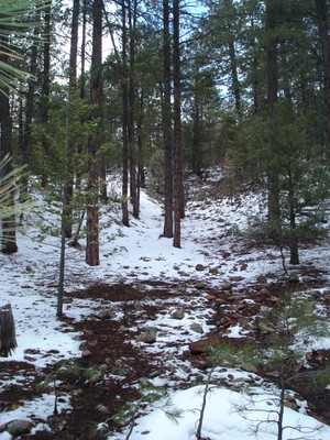 Snowmelt at Top of Watershed