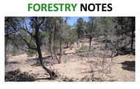 Forestry Notes: May 2014