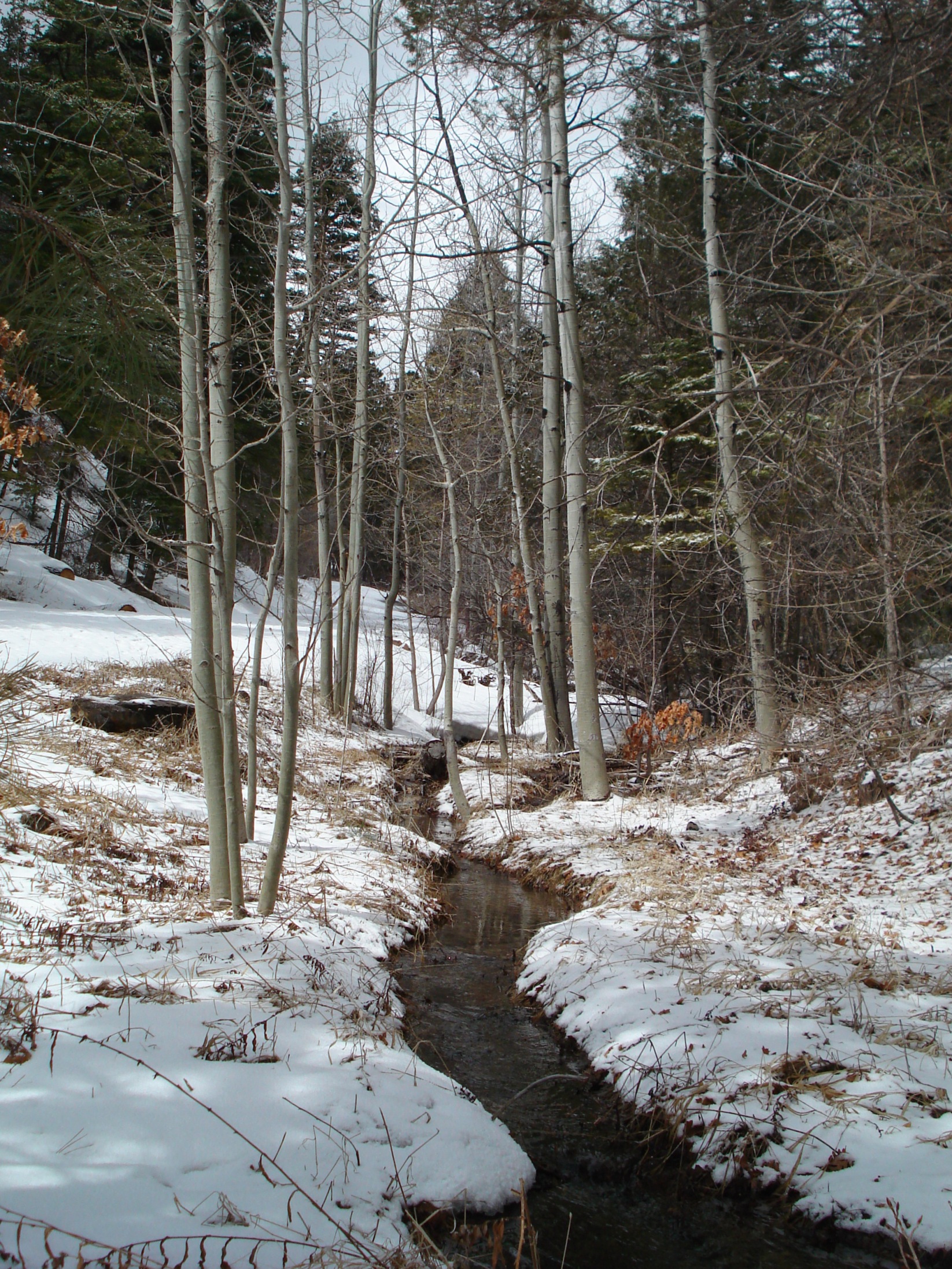 Mountain Snow to Water