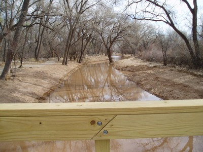 Side Channel at Rio Grande Nature Center Spring 2010