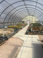 Low-Cost Seedlings Available for Spring Planting