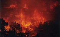 Scorched Earth: The Past, Present and Future of Human Influences on Wildfires