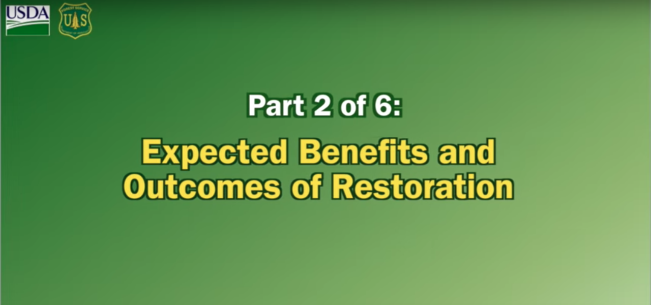 Restoring Composition.. Part 2 of 6: Expected Benefits and Outcomes of Restoration